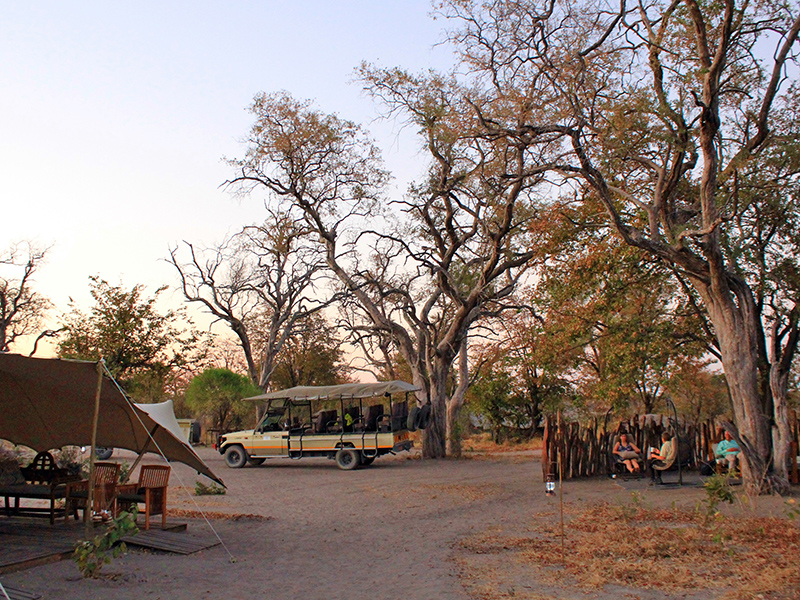 Bedouin Bush Camp - Safari i Botswana og Zimbabwe