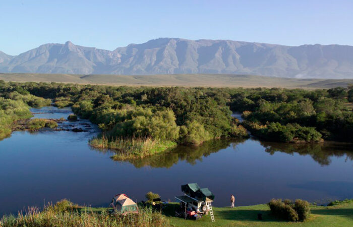 Bontebok nationalpark Sydafrika