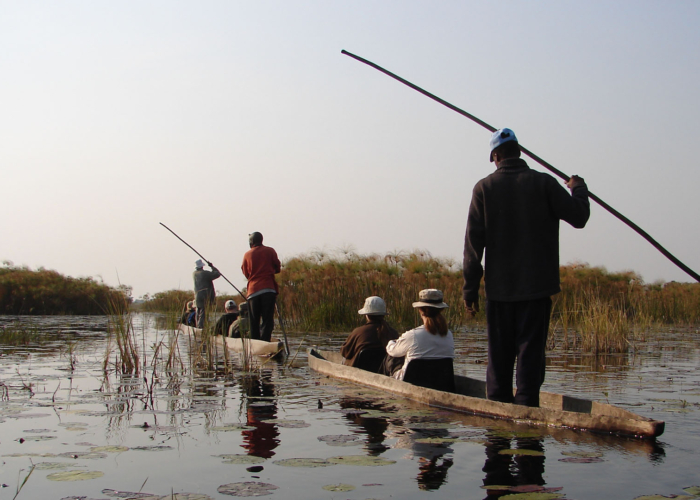 safari i botswana og Zimbabwe