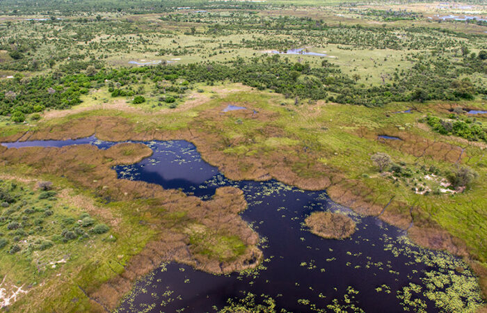 Okavango-deltaet