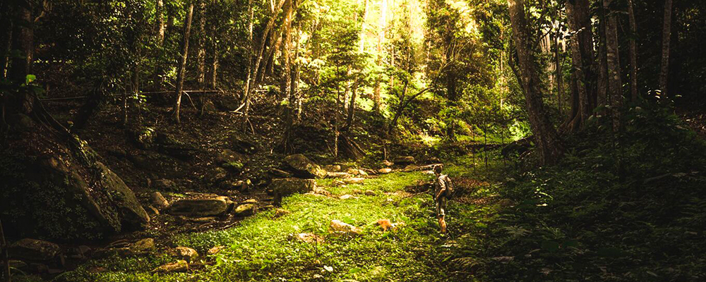 hiking udzungwa