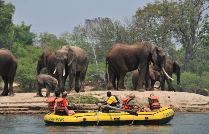 Safari Zambezi-floden