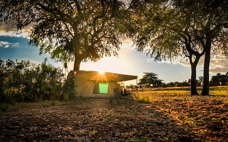 Safari-camp i Tanzania