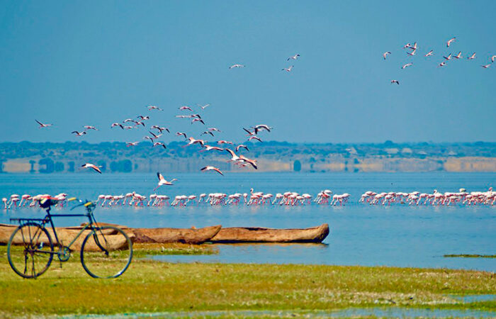 lake natron