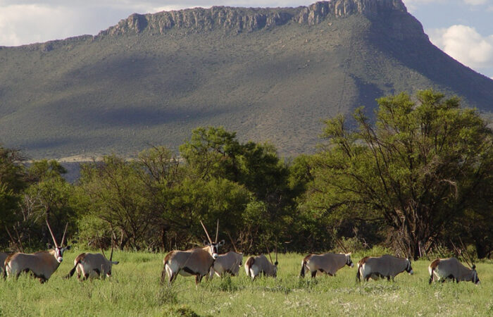 Camdeboo nationalpark