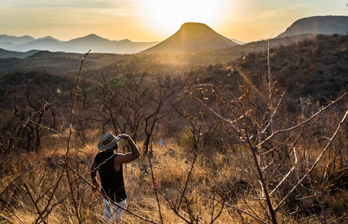 safari i sydafrika