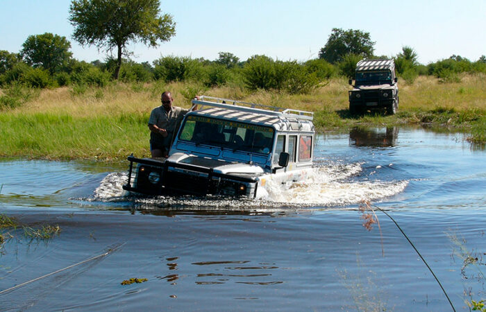 safari i Okavango-deltaet