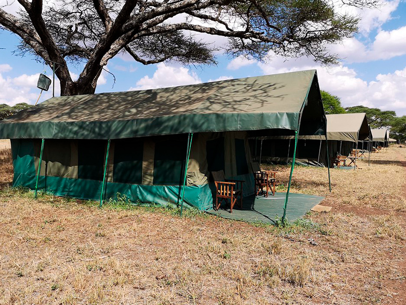 Serengeti lodge