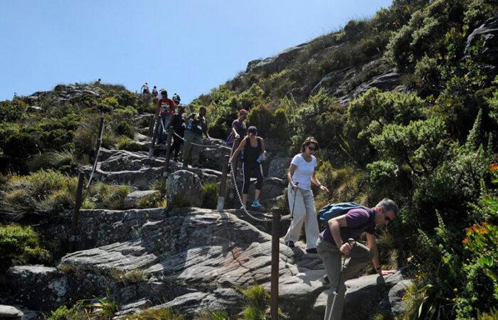 Table Mountain nationalpark, Sydafrika