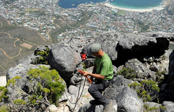 Nationalpark tæt på Cape Town, Sydafrika