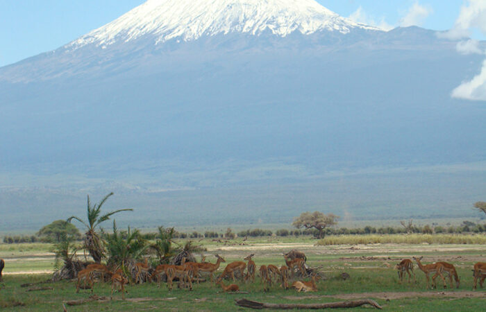 Amboseli