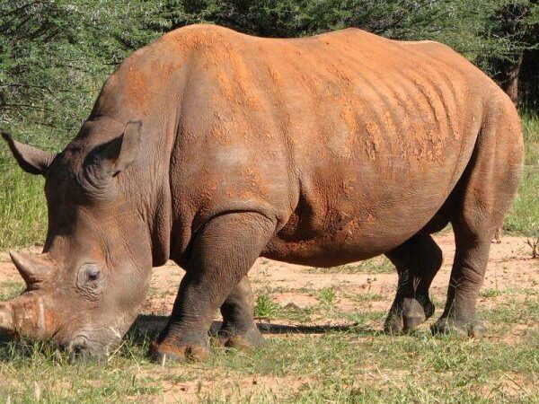 waterberg nationalpark