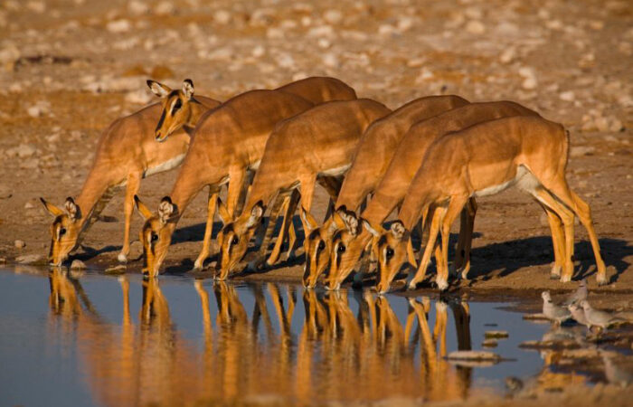 Namibia