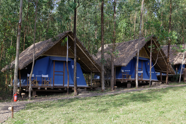 Eco Omo Lodge