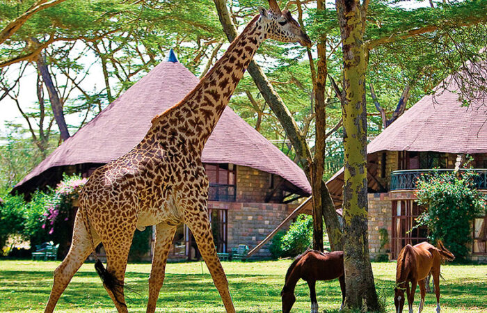 Lake Naivasha Sopa Lodge - Kenya-safari