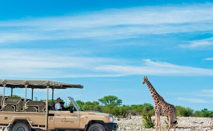 Kør selv i Namibia