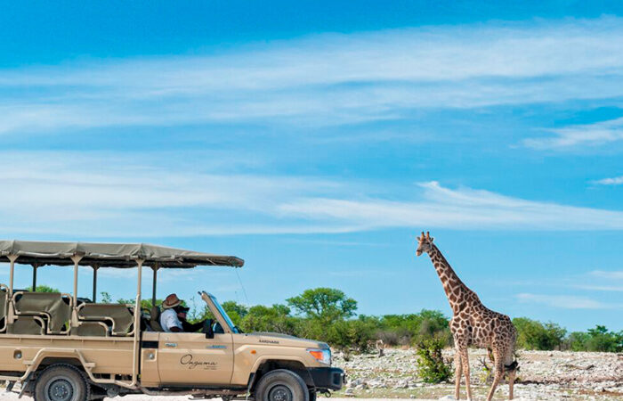 Kør selv i Namibia