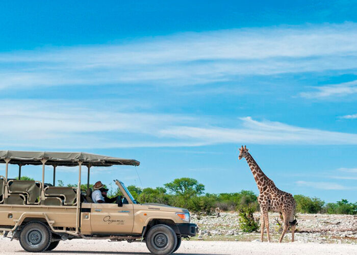 Kør selv i Namibia