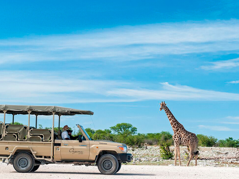 Kør selv i Namibia