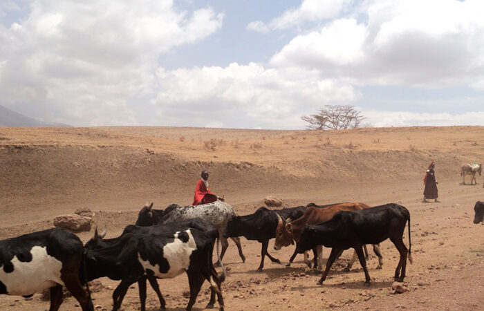 safari og badeferie i Tanzania - masaii