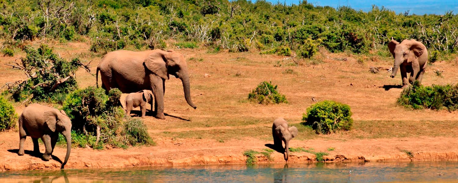 Guide til Malawi